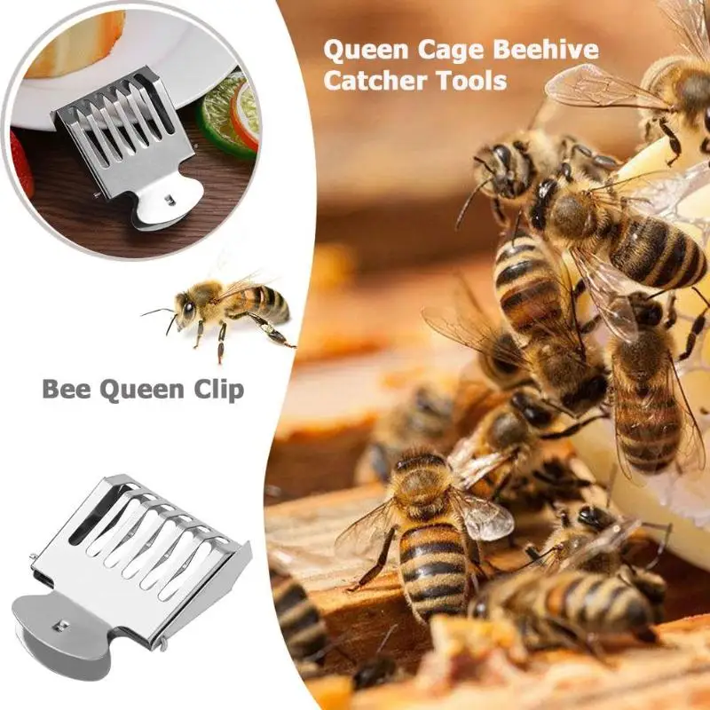 Queen Bee Cage Catcher Clip Beekeeping Tool Equipment Stainless Steel SG