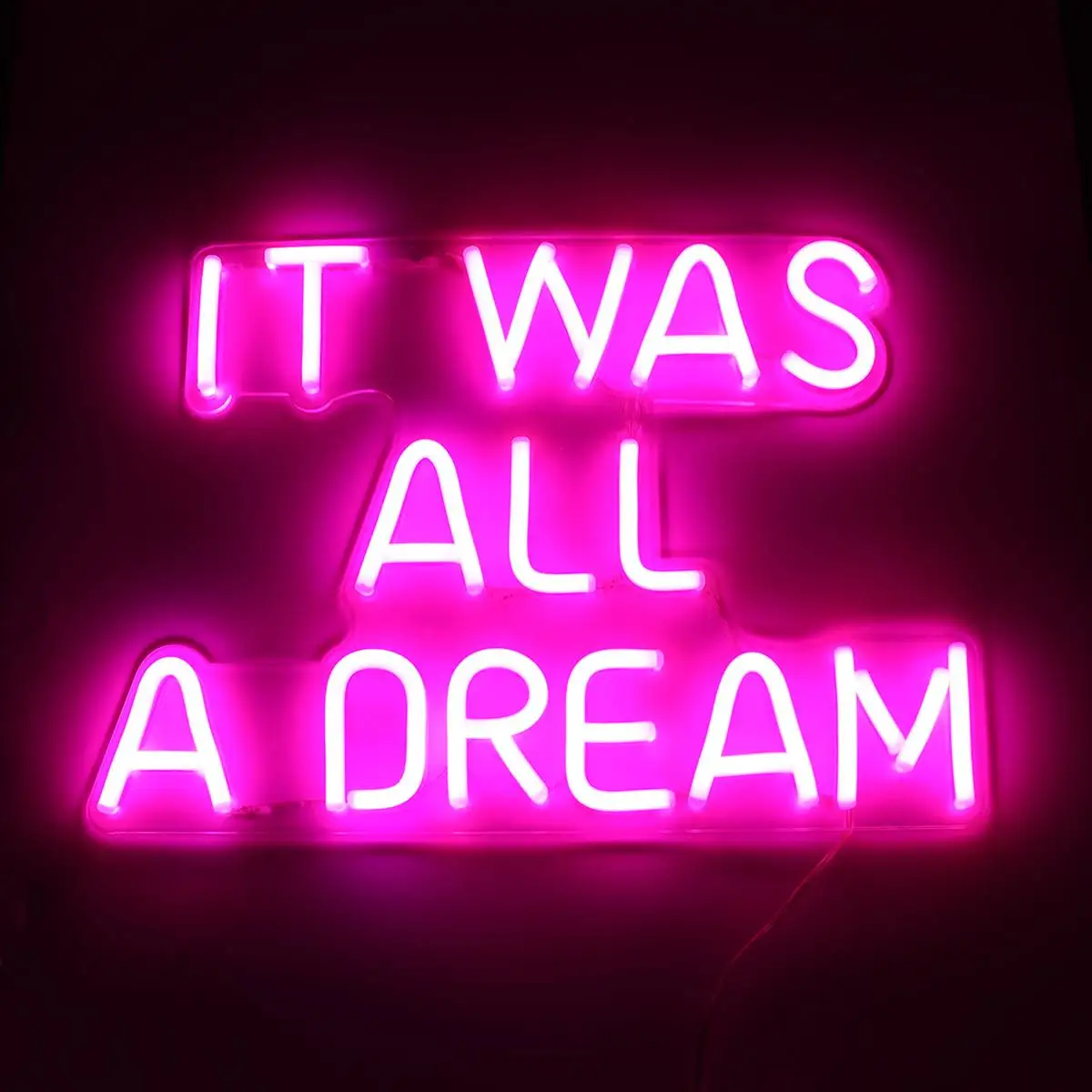 

Handmade Visual Artwork Bar Wall Decoration Commercial Lighting Colorful Neon Bulbs It Was All A Dream Neon Sign LED Light Tube