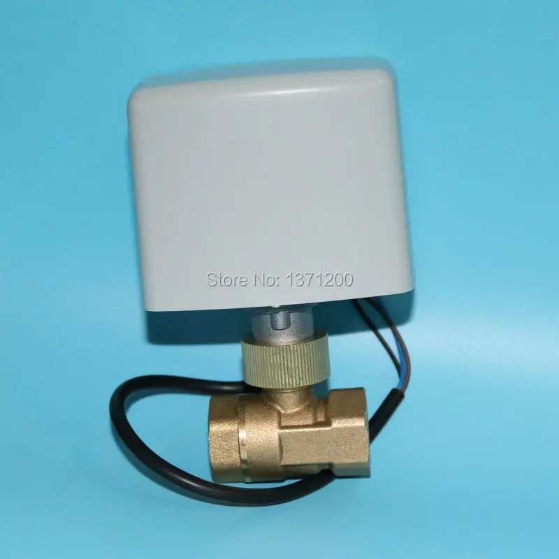 2019 Новый латунный моторизованный шаровой кран AC24V/AC220V 2 ходовой DN15 20 25 32 40 50