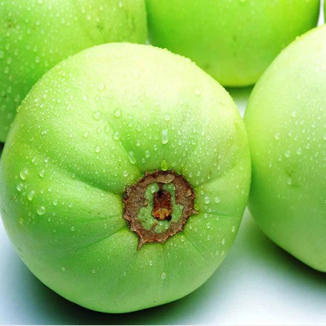 

Fruits And Vegetables Melon New May Red Fruit bonsai Cantaloupe bonsai Easy Planting plant Vegetables 10pcs