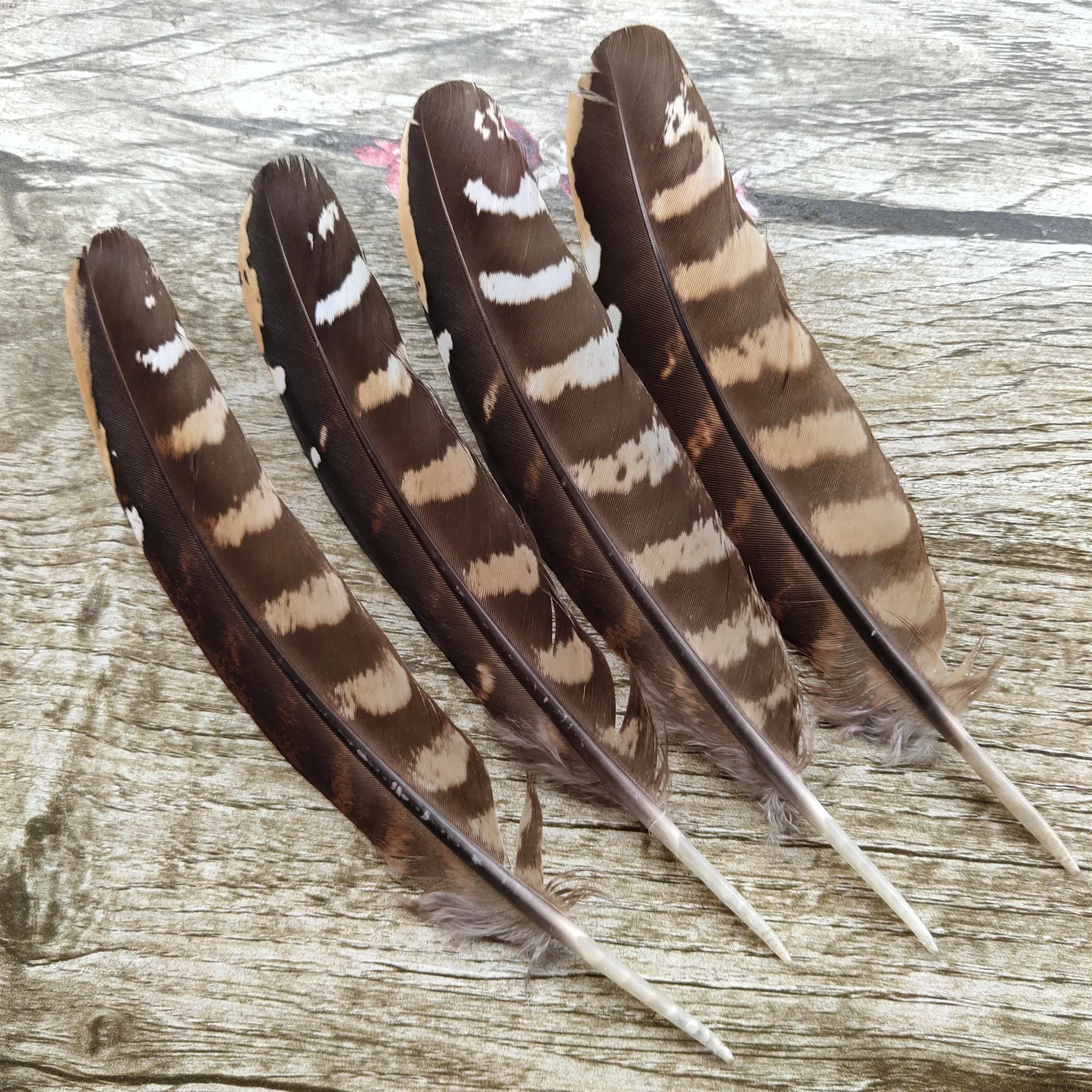 Wholesale200pcsbeautiful1518cm67inchesnaturalChickenwing