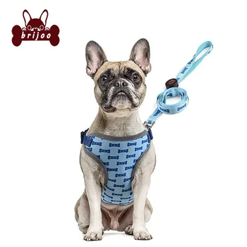 

LED Dog Harness and Leash Set Small Medium Dogs Harness Vest Reflective Adjustable Dog Nylon Leash Harness Set for Chihuahua K9