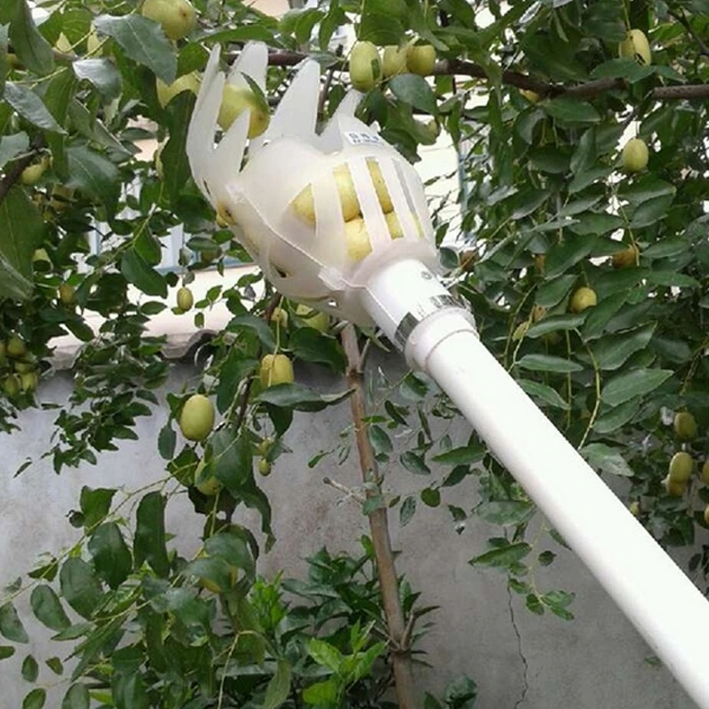

Practical plastic fruit picker without rods convenient and durable farm garden greenhouse picking tools