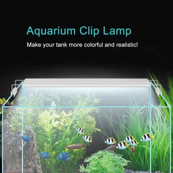 

AC220V Aquarium Light 5W Aquarium Clip Lamp with Flexible Adjustable Extendable Bracket For Fish tank EU-PLUG