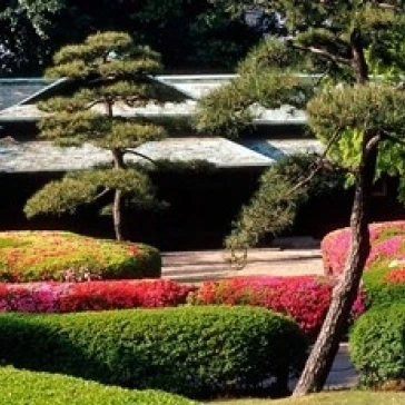 Azaleas at the Imperial Palace East Gardens Tokyo Japan Poster Print by Jaynes Gallery (26 x 17) | Дом и сад