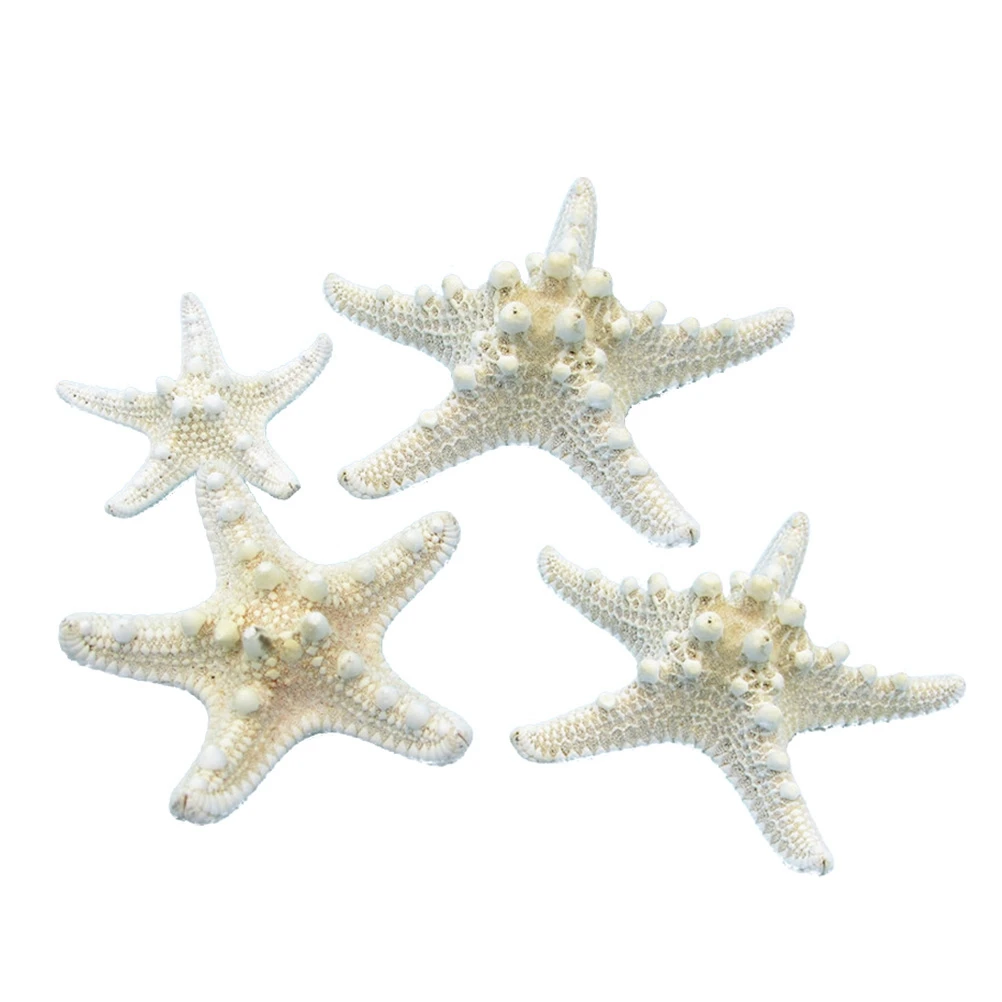 

4pcs Creative Natural Decorative Overlord Star Wall Landscaping Decoration Shell Conch Decor for Office Garden Home Wedding