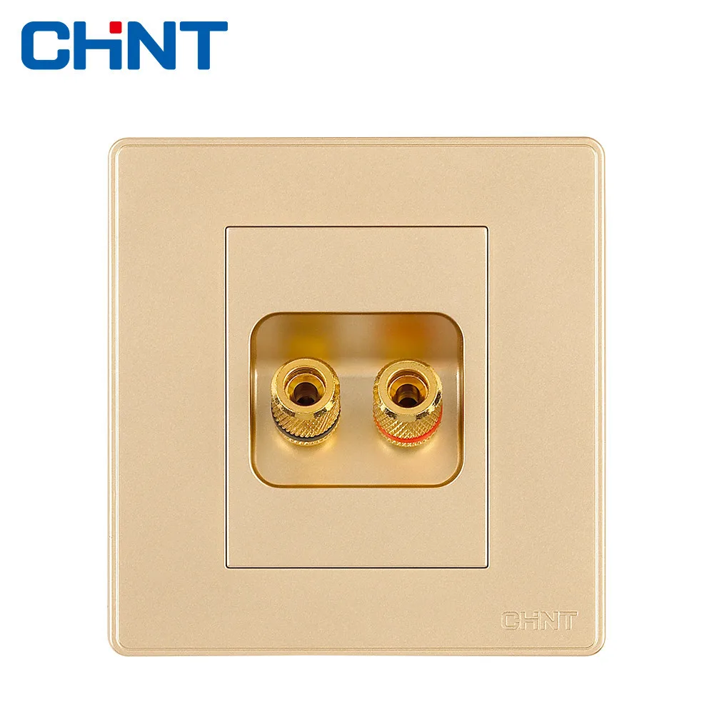 

CHINT Wall Switches Socket NEW2D Light Champagne Gold Two Hole Audio Socket