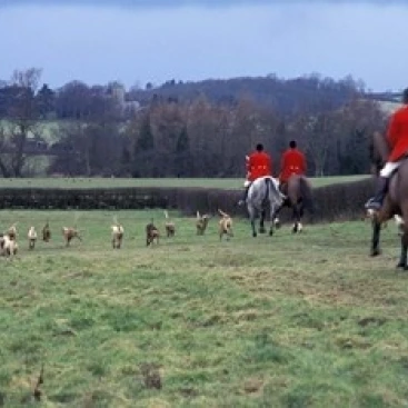 The Quorn Fox Hunt Leicestershire Англия постер печать Алан Klehr (18x12)|Таблички и знаки| |