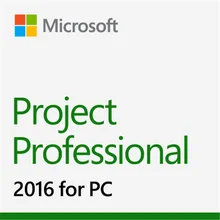Microsoft Office Project Professional для Windows загрузка лицензионного ключа цифровая 1 пользователь