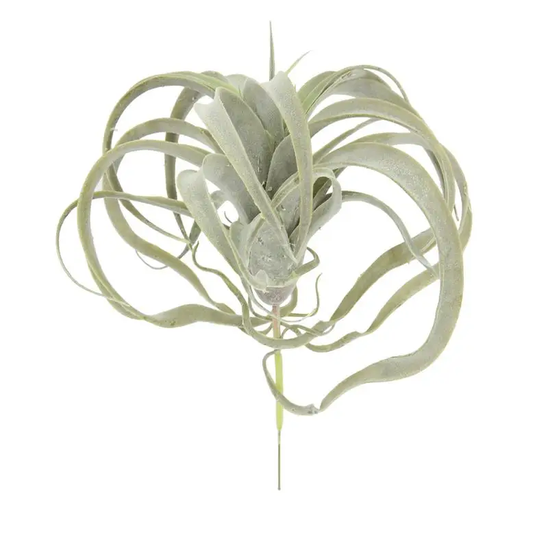 

Artificial Plants Succulents Air Plants Home Decoration Wall Decorating Plants Crafted Plastic Plants Garden Decoration