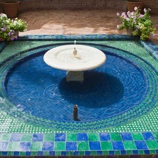 Jardin Majorelle Marrakech Morocco North Africa Poster Print by Nico Tondini (11 x 17) | Дом и сад