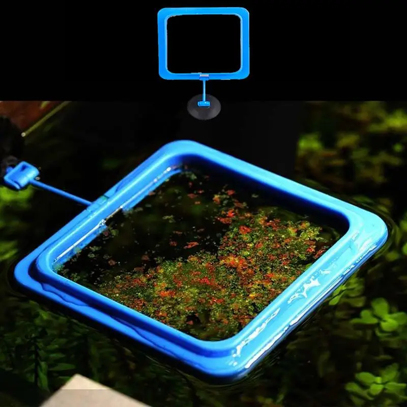 1Pcs Aquarium Feeding Tool Feeding Fish In Ring Floating Feeding Ring