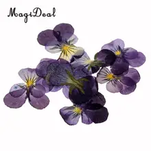 MagiDeal 12 шт. сушеные прессованные цветы для ювелирных изделий фоторамка чехол для телефона Скрапбукинг Ремесло фиолетовый цветок DIY аксессуары для изготовления