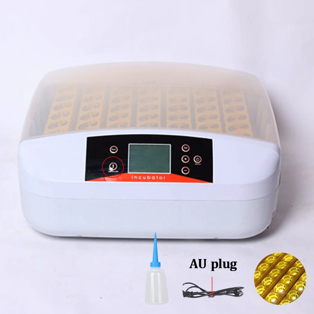 

Dulong Homehold Mini Egg Incubator Heater Birda Chichens High Hatching Rate Poultry Hatcher Automatic Egg Hatchery Motor