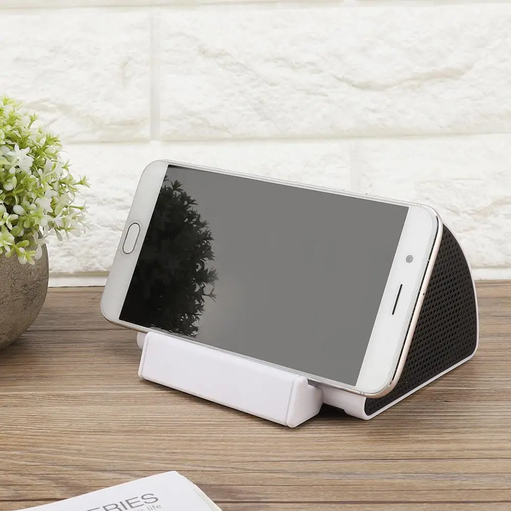 stereo induction speaker