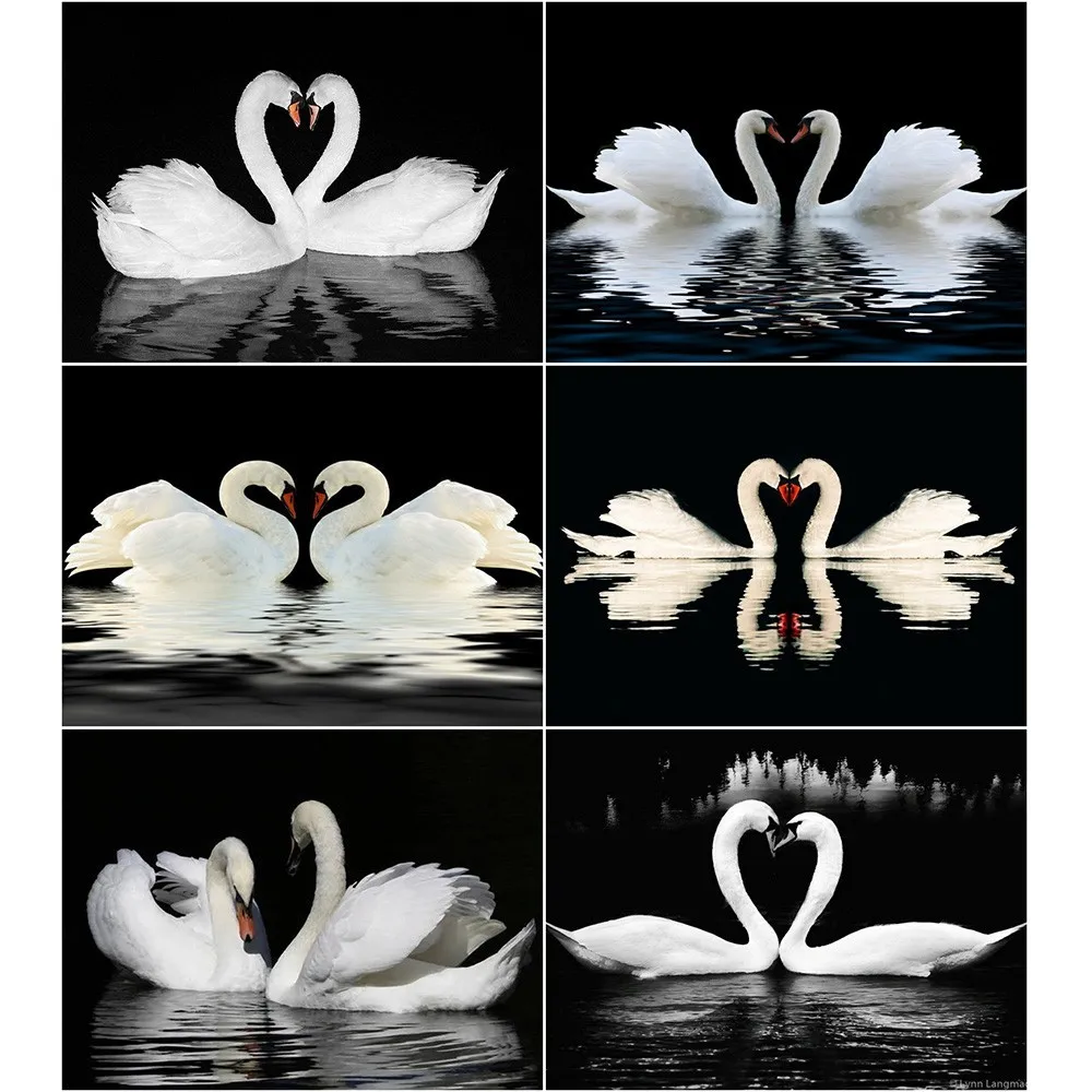 

HUACAN Diamond Painting Animals Swan DIY Diamond Embroidery Full Square Rhinestone Mosaic Decoration Home Painting With Diamond