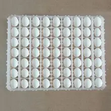 Incubator Egg Tray Special Automatic Hatching Machine High Temperature Resistance Three Specifications Egg Tray Incubator Egg Tray Special Automatic Hatching Machine High Temperature Resistance Three Specifications Egg Tray