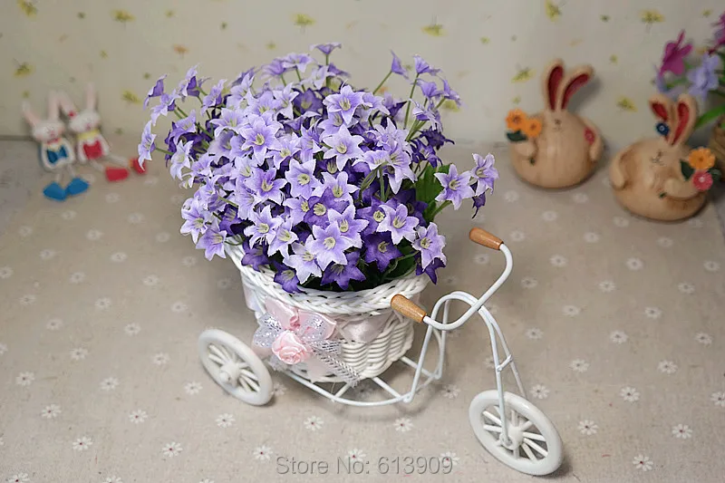 SAM_3620
