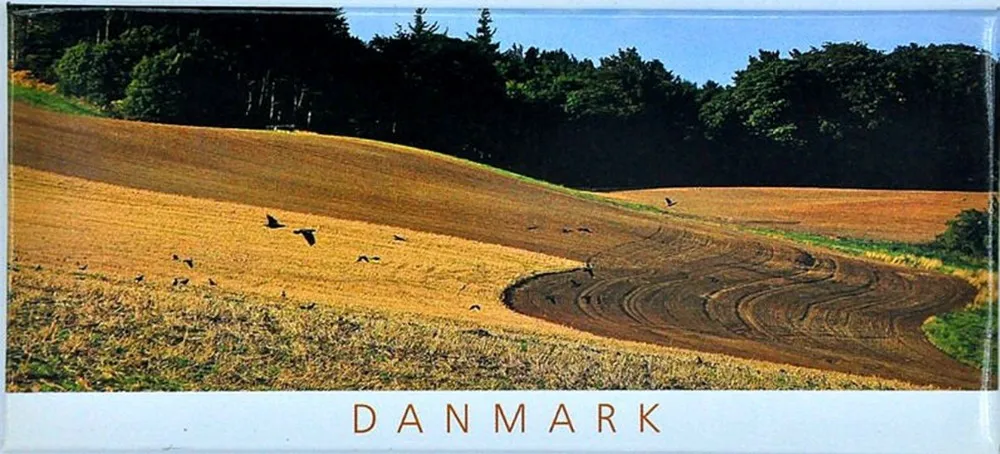 Магнит на холодильник Danmark прямоугольник страна старый замок Дочь моря металл холодильник Туризм Сувенир Домашний Декор магниты