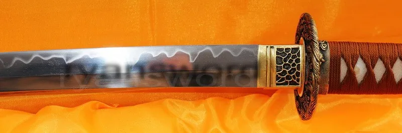 r20806