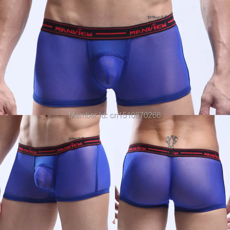 That necessary. Sheer see through panties agree, useful For Sheer see through panties