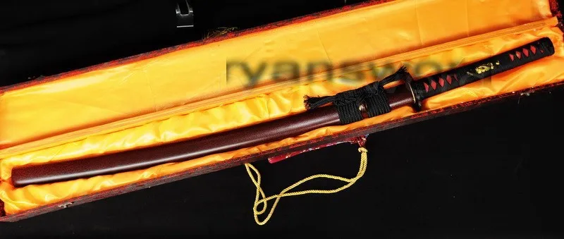 r34104
