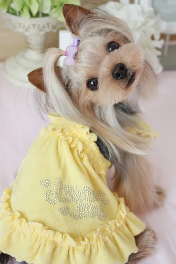 Мягкое Полотенце febric сексуальное домашнее животное подтяжки юбка без рукавов удобная одежда для собак платье трость vestiti ropa perro mascotas