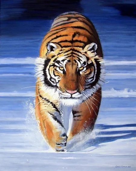 tiger final