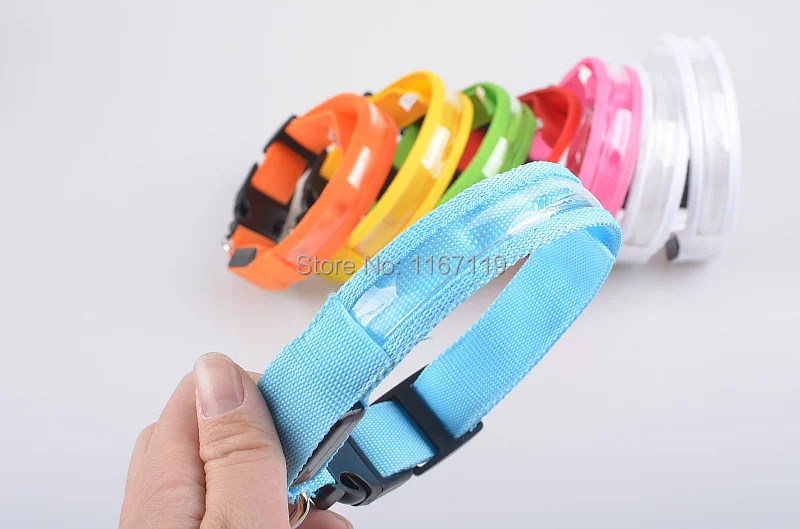 LED dog collar (32).jpg
