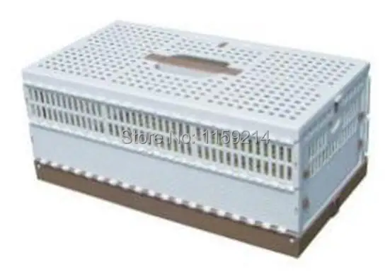 dog training bird cage