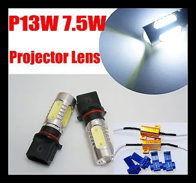 P13W 8