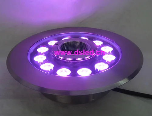DS-10-49-36W-RGB P