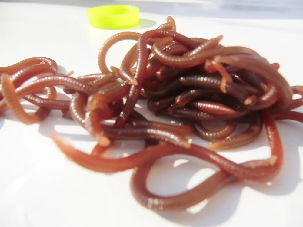 2014 New Red Worms Alabama EarthWorm Fishing Baits Worms lure spoon fishing jig Minnow crankbait Soft Lures0306