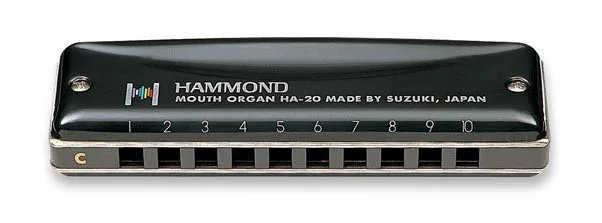 SUZUKI гармоника HA-20 Promaster Hammond 10 отверстий Blues гармоника диатонический-Ключ C