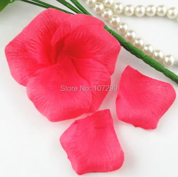 fuchsia_
