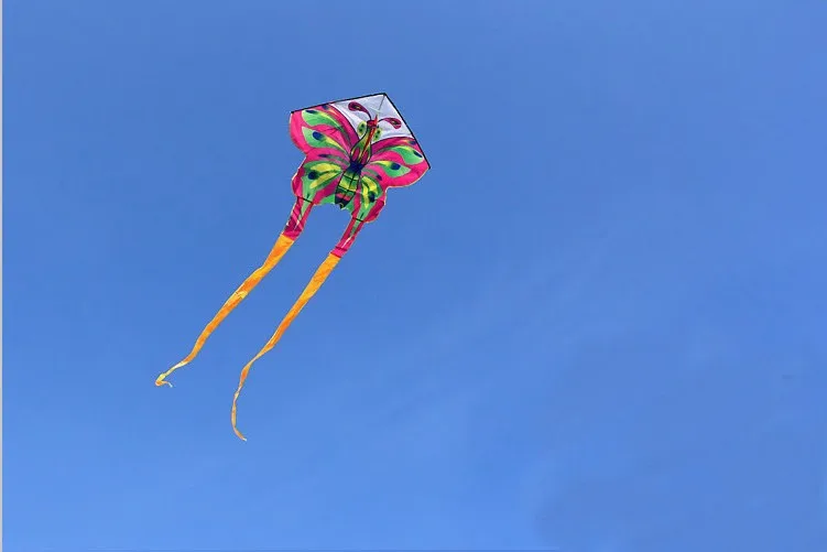 0006