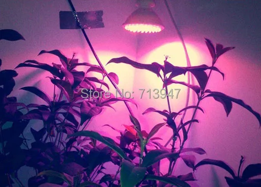 10X Лидер продаж E27 5 Вт Светодиодный grow light с 660nm красный+ 440nm Синий