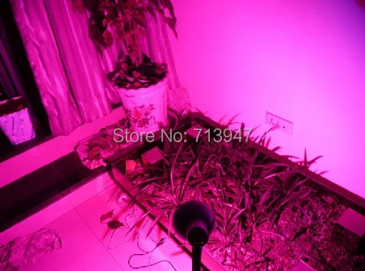 10X Лидер продаж E27 5 Вт Светодиодный grow light с 660nm красный+ 440nm Синий