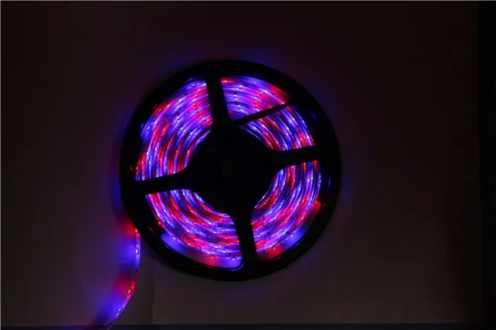 DC12V 5 метров 300*3528 SMD Водонепроницаемый светодио дный RGB полосы света + пульта дистанционного управления