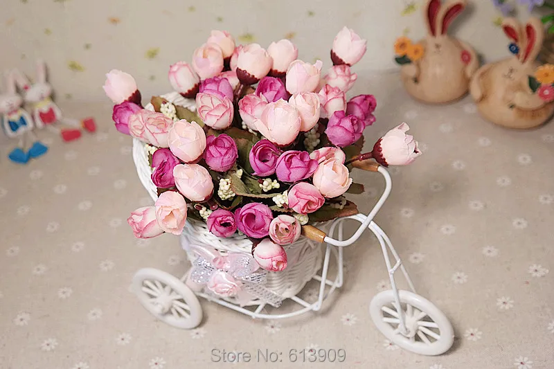SAM_3730
