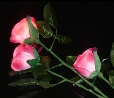 ScreenShot16