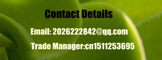Contact Details