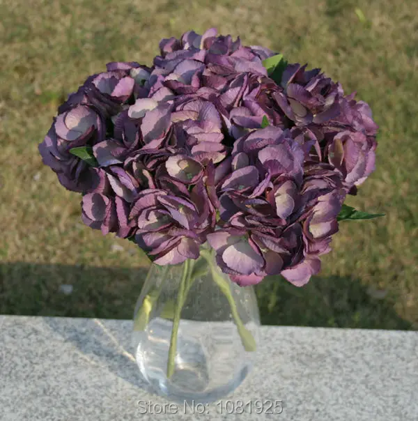 AF309-U-purple-3