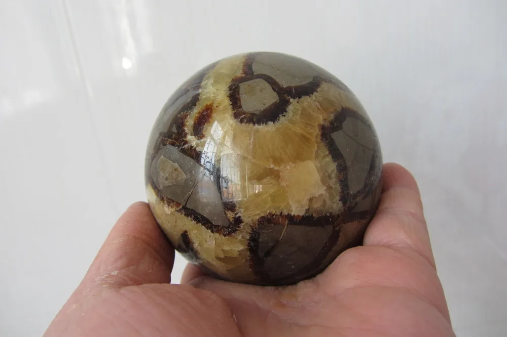 86 мм Природный septarian каменного дракона кварцевый кристалл сфера ископаемые Бал Мадагаскар