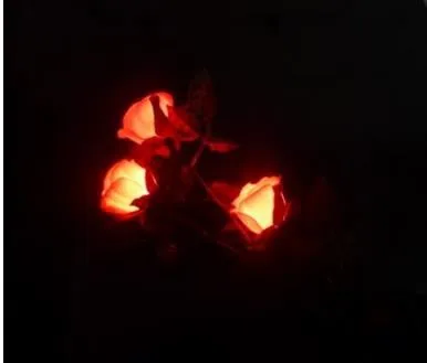 ScreenShot18