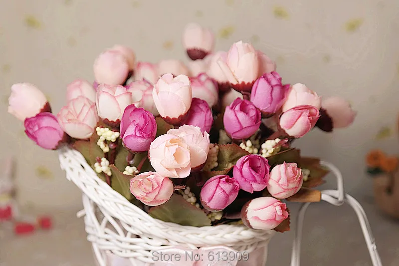SAM_3720