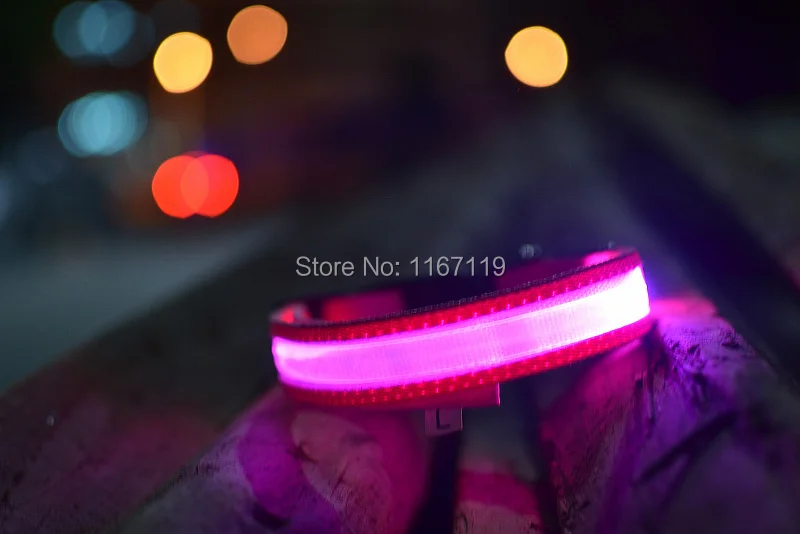 LED dog collar (28).jpg