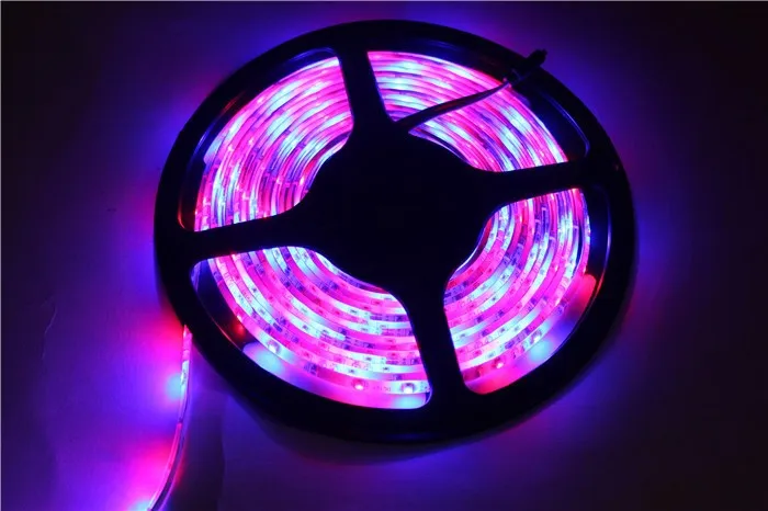 DC12V 5 метров 300*3528 SMD Водонепроницаемый светодио дный RGB полосы света + пульта дистанционного управления