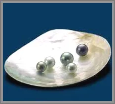 AAA натуральное пресноводное Ювелирное кольцо с имитацией Перл для женщин элегантное ювелирное изделие Обручальное Серебро CZ крепление жемчуг Луна камень