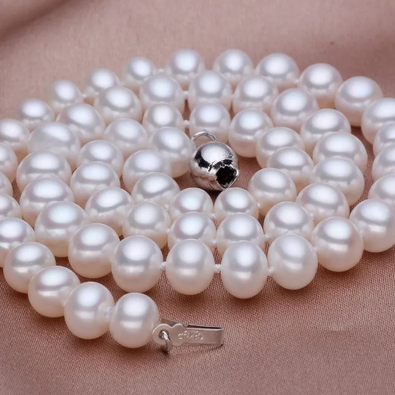 1070626421_278449999